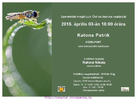 20150403 KatonaPatrik FotokiallitasVECSES.jpg